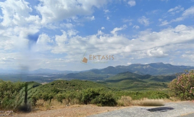 (Προς Πώληση) Αξιοποιήσιμη Γη Αγροτεμάχιο || Ν. Αρκαδίας/Τρικολώνιο - 5.200 τ.μ, 11.000€ 