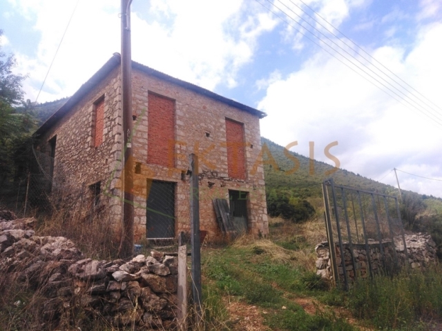 (Προς Πώληση) Κατοικία Μονοκατοικία || Ν. Αρκαδίας/Λεβίδι - 165 τ.μ, 110.000€ 