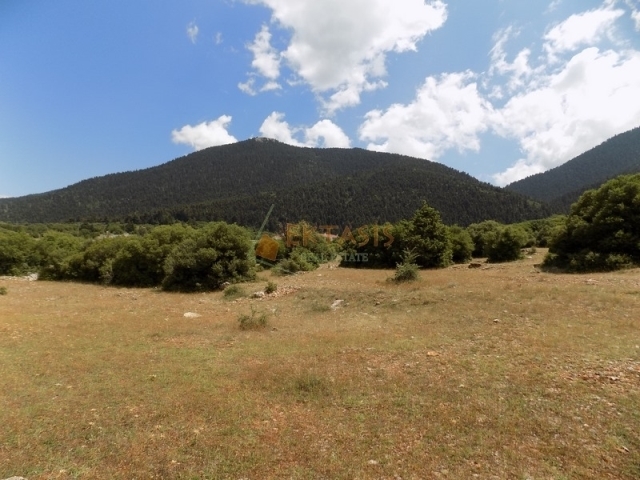 (Προς Πώληση) Αξιοποιήσιμη Γη Αγροτεμάχιο || Ν. Αρκαδίας/Βυτίνα - 26.163 τ.μ, 285.000€ 