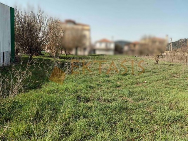 (Προς Πώληση) Αξιοποιήσιμη Γη Οικόπεδο || Ν. Αρκαδίας/Τρίπολη - 718 τ.μ, 180.000€ 