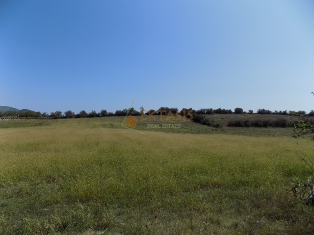 (For Sale) Land Agricultural Land  || Arkadia/Tripoli - 10.000 Sq.m, 27.000€ 