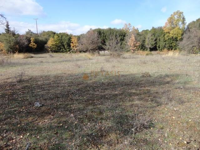 (For Sale) Land Agricultural Land  || Arkadia/Vytina - 6.700 Sq.m, 150.000€ 