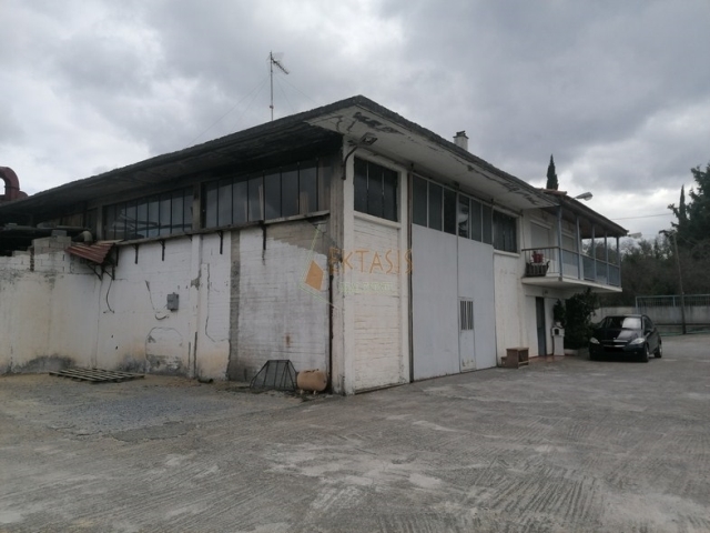 (For Sale) Commercial Industrial Area || Arkadia/Tripoli - 1.160 Sq.m, 290.000€ 