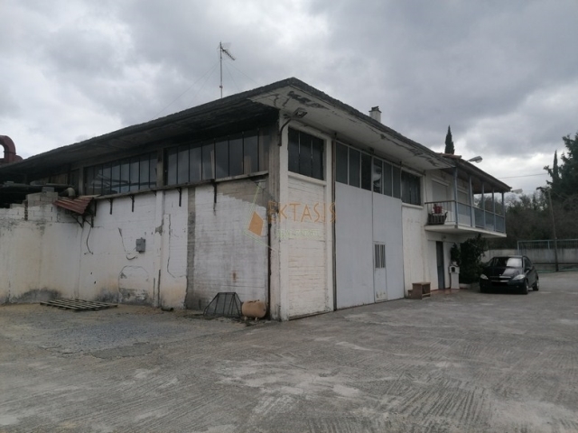 (Προς Πώληση) Επαγγελματικός Χώρος Βιομηχανικός Χώρος || Ν. Αρκαδίας/Τρίπολη - 1.160 τ.μ, 290.000€ 