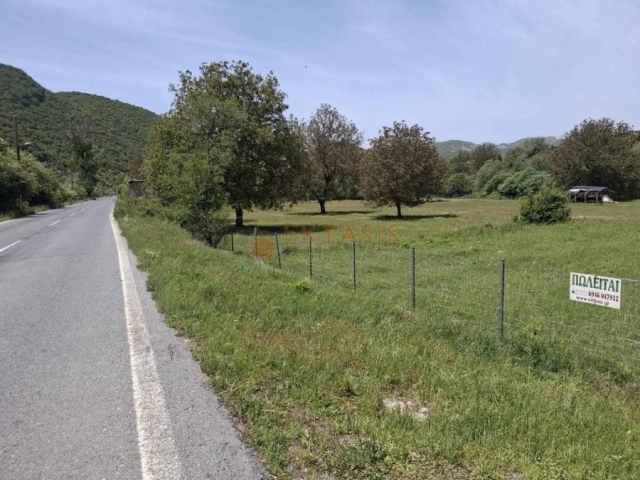 (Προς Πώληση) Αξιοποιήσιμη Γη Οικόπεδο || Ν. Αρκαδίας/Δημητσάνα - 7.200 τ.μ, 100.000€ 