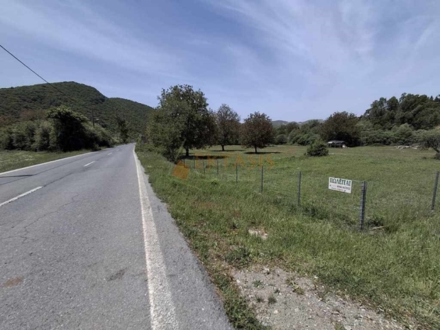 (Προς Πώληση) Αξιοποιήσιμη Γη Αγροτεμάχιο || Ν. Αρκαδίας/Δημητσάνα - 11.000 τ.μ, 100.000€ 