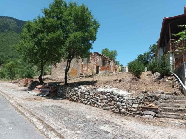 (Προς Πώληση) Αξιοποιήσιμη Γη Οικόπεδο || Ν. Αρκαδίας/Λεβίδι - 726 τ.μ, 180.000€ 