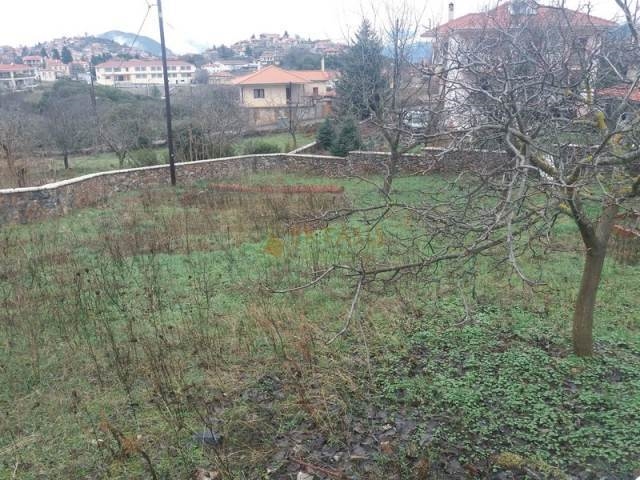 (For Sale) Land Plot || Arkadia/Levidi - 678 Sq.m, 45.000€ 