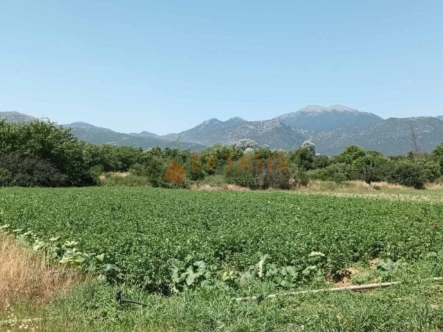 (Προς Πώληση) Αξιοποιήσιμη Γη Οικόπεδο || Ν. Αρκαδίας/Τρίπολη - 18.725 τ.μ, 140.000€ 