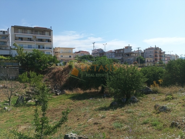 (Προς Πώληση) Αξιοποιήσιμη Γη Οικόπεδο || Ν. Αρκαδίας/Τρίπολη - 610 τ.μ, 100.000€ 