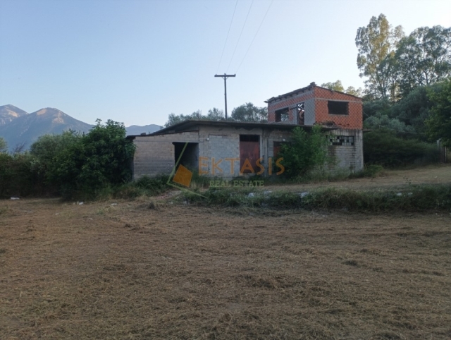 (For Sale) Land Plot || Lakonia/Pellana - 4.400 Sq.m, 55.000€ 