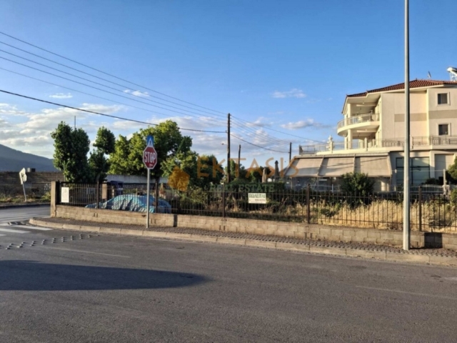 (For Sale) Land Plot || Arkadia/Tripoli - 505 Sq.m, 130.000€ 