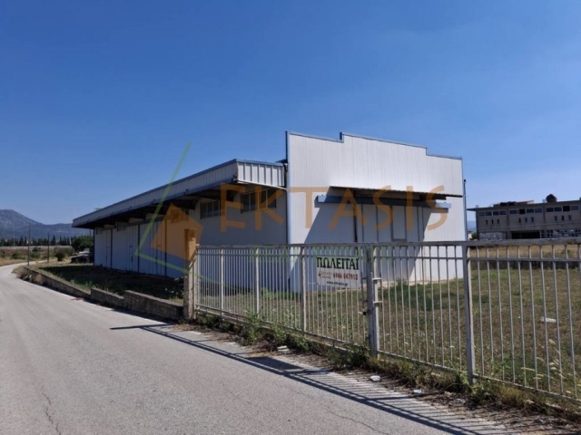 (For Sale) Commercial Industrial Area || Arkadia/Tripoli - 572 Sq.m, 280.000€ 