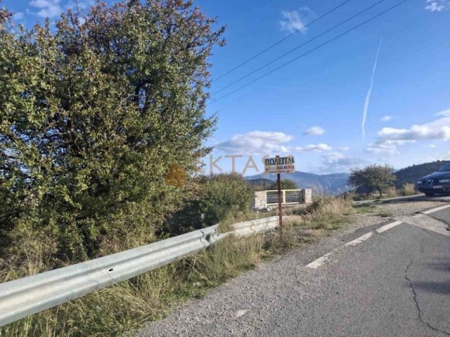 (For Sale) Land Agricultural Land  || Arkadia/North Kynouria - 10.390 Sq.m, 160.000€ 