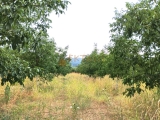 slide1 thumbnail