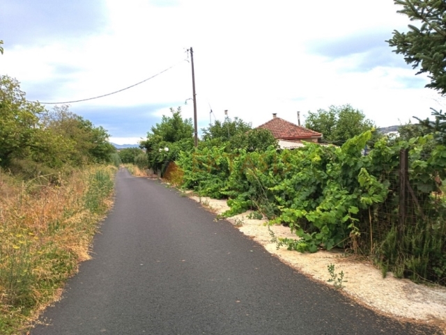 (For Sale) Land Agricultural Land  || Arkadia/Tripoli - 19.000 Sq.m, 150.000€ 