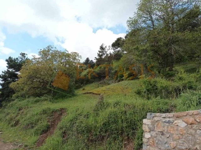 (Προς Πώληση) Αξιοποιήσιμη Γη Οικόπεδο || Ν. Αρκαδίας/Βυτίνα - 1.806 τ.μ, 85.000€ 