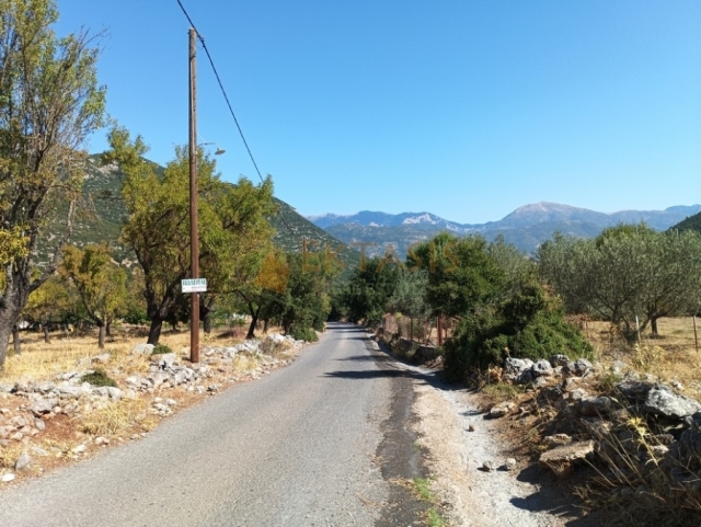 (Προς Πώληση) Αξιοποιήσιμη Γη Αγροτεμάχιο || Ν. Αρκαδίας/Λεβίδι - 3.500 τ.μ, 10.500€ 