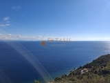 slide1 thumbnail