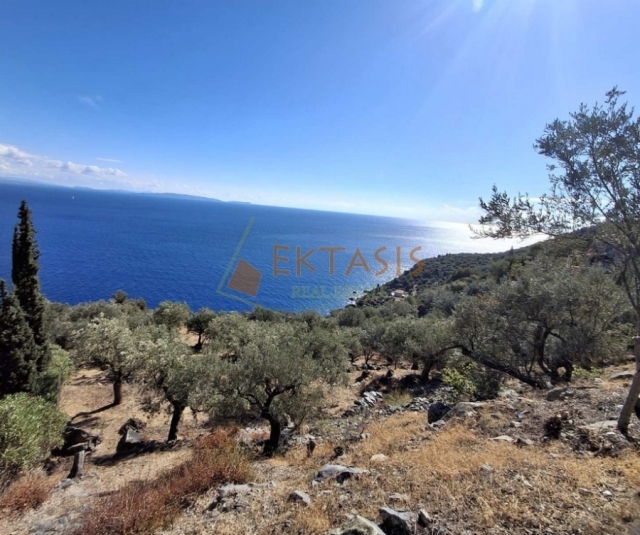 (Προς Πώληση) Αξιοποιήσιμη Γη Οικόπεδο || Ν. Αρκαδίας/Απόλλωνας - 6.650 τ.μ, 70.000€ 