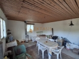 slide1 thumbnail