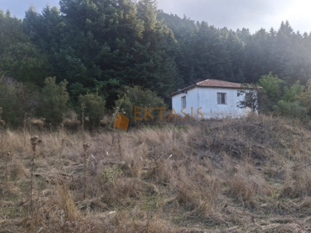 (Προς Πώληση) Αξιοποιήσιμη Γη Αγροτεμάχιο || Ν. Αρκαδίας/Βυτίνα - 11.490 τ.μ, 125.000€ 