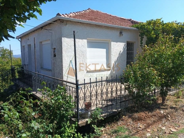 (Προς Πώληση) Κατοικία Μονοκατοικία || Ν. Αρκαδίας/Σκυρίτιδα - 165 τ.μ, 2 Υ/Δ, 45.000€ 