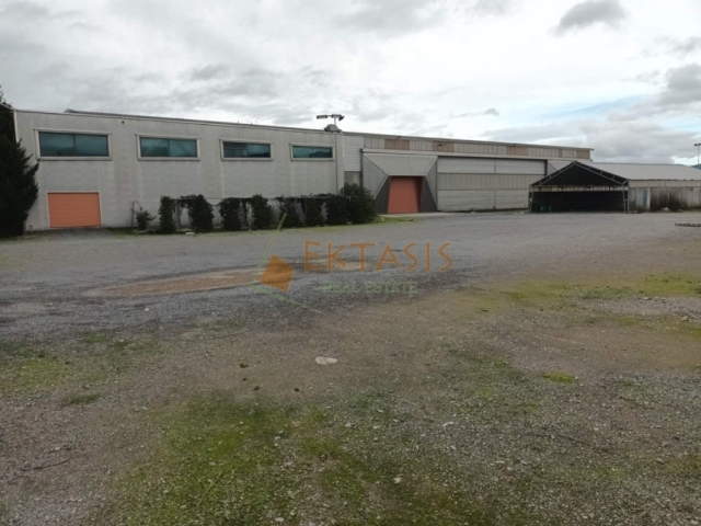 (Προς Πώληση) Επαγγελματικός Χώρος Βιοτεχνικός Χώρος || Ν. Αρκαδίας/Τρίπολη - 4.008 τ.μ, 2.500.000€ 