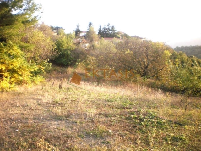 (Προς Πώληση) Αξιοποιήσιμη Γη Οικόπεδο || Ν. Αρκαδίας/Βυτίνα - 2.010 τ.μ, 160.000€ 