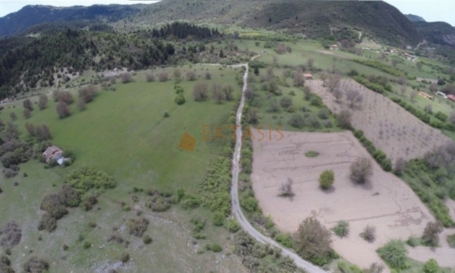 (For Sale) Land Agricultural Land  || Arkadia/Dimitsana - 137.623 Sq.m, 700.000€ 