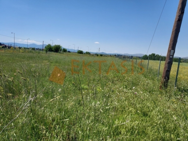 (For Sale) Land Plot || Arkadia/Tripoli - 5.858 Sq.m, 200.000€ 