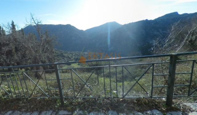 (For Sale) Land Plot || Arkadia/Dimitsana - 3.251 Sq.m, 250.000€ 