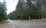 slide1 thumbnail