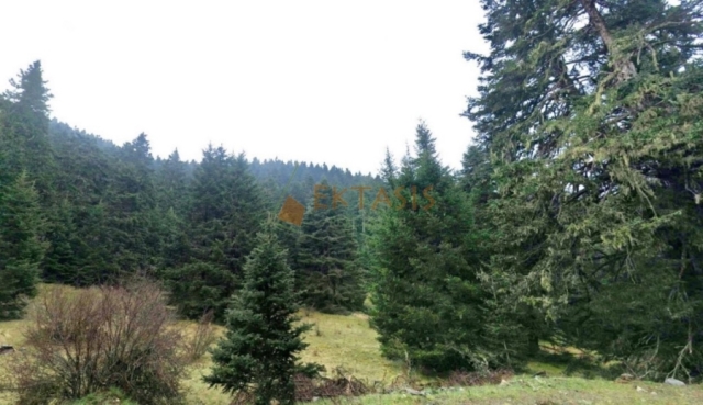 (Προς Πώληση) Αξιοποιήσιμη Γη Αγροτεμάχιο || Ν. Αρκαδίας/Λεβίδι - 26.000 τ.μ, 70.000€ 