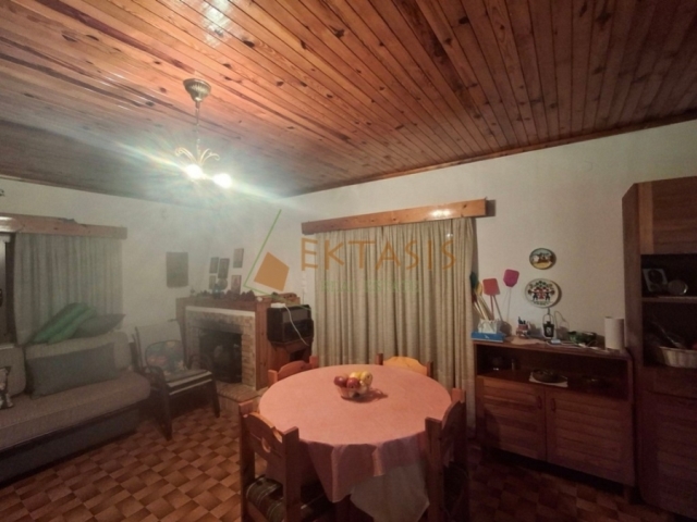 (Προς Πώληση) Κατοικία Μονοκατοικία || Ν. Αρκαδίας/Βυτίνα - 100 τ.μ, 4 Υ/Δ, 80.000€ 