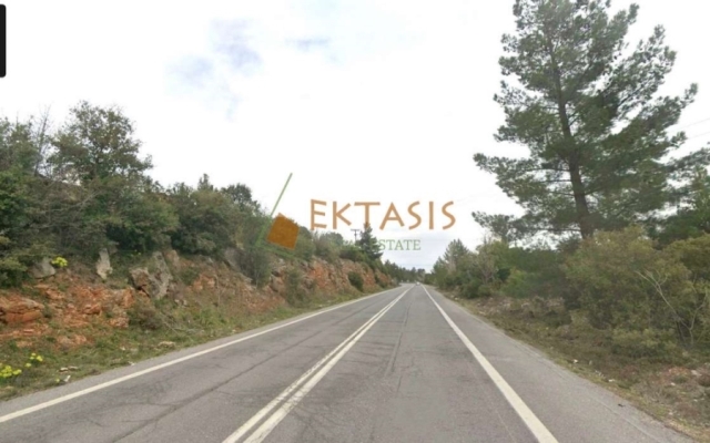 (Προς Πώληση) Αξιοποιήσιμη Γη Αγροτεμάχιο || Ν. Αρκαδίας/Λεβίδι - 5.080 τ.μ, 70.000€ 