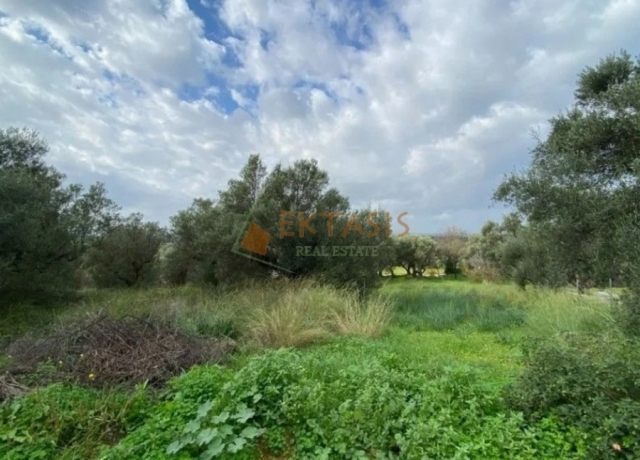 (Προς Πώληση) Αξιοποιήσιμη Γη Οικόπεδο || Ν. Μεσσηνίας/Θουρία - 2.402 τ.μ, 65.000€ 