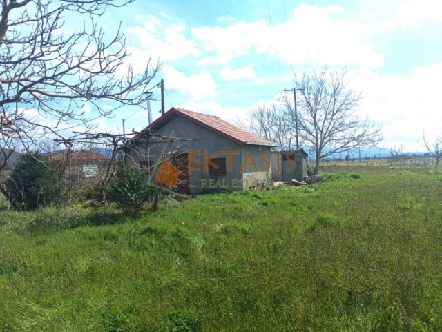 (For Sale) Residential Small Studio || Arkadia/Tripoli - 23 Sq.m, 1 Bedrooms, 58.000€ 