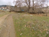 slide1 thumbnail