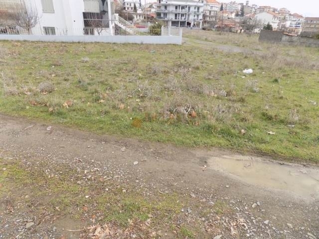 (Προς Πώληση) Αξιοποιήσιμη Γη Οικόπεδο || Ν. Αρκαδίας/Τρίπολη - 430 τ.μ, 55.000€ 