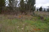 slide1 thumbnail