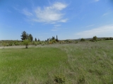 slide1 thumbnail
