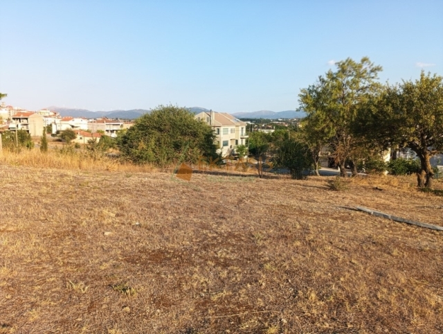 (Προς Πώληση) Αξιοποιήσιμη Γη Οικόπεδο || Ν. Αρκαδίας/Τρίπολη - 350 τ.μ, 45.000€ 