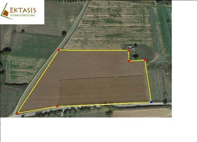 (For Sale) Land Agricultural Land  || Arkadia/Korythio - 20.400 Sq.m, 55.000€ 