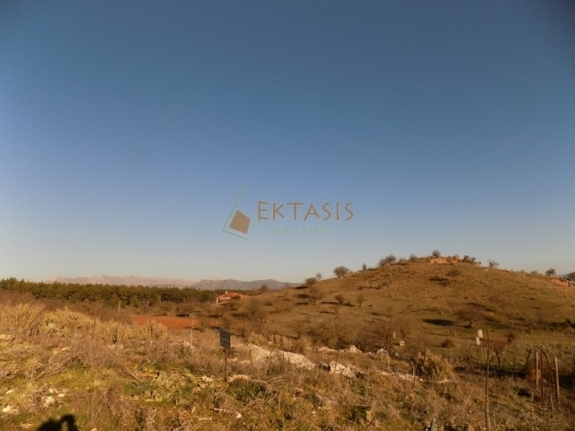 (For Sale) Land Plot || Arkadia/Tripoli - 5.744 Sq.m, 35.000€ 