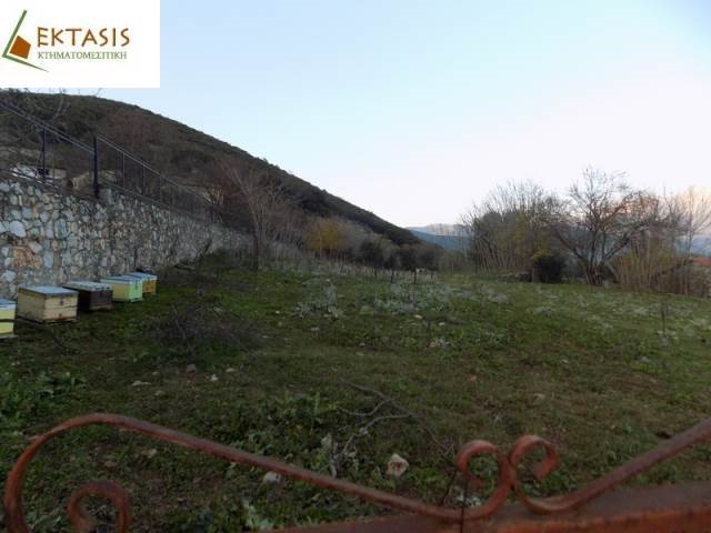 (For Sale) Land Plot || Arkadia/Levidi - 2.150 Sq.m, 30.000€ 