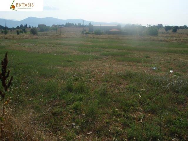 (For Sale) Land Plot || Arkadia/Tripoli - 750Sq.m, 180.000€ 