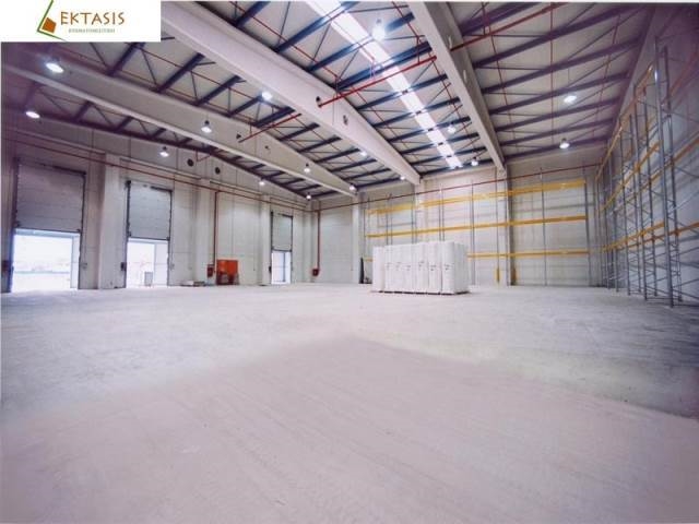 (For Sale) Commercial Industrial Area || Arkadia/Tripoli - 1.100 Sq.m, 1.000.000€ 