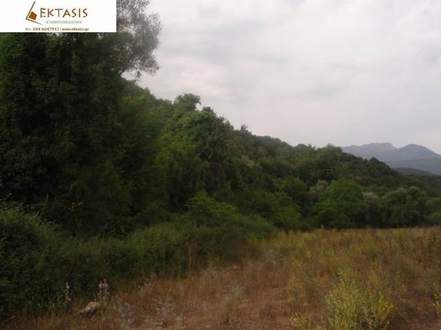 (For Sale) Land Agricultural Land  || Arkadia/Gortyna - 8.500 Sq.m, 85.000€ 