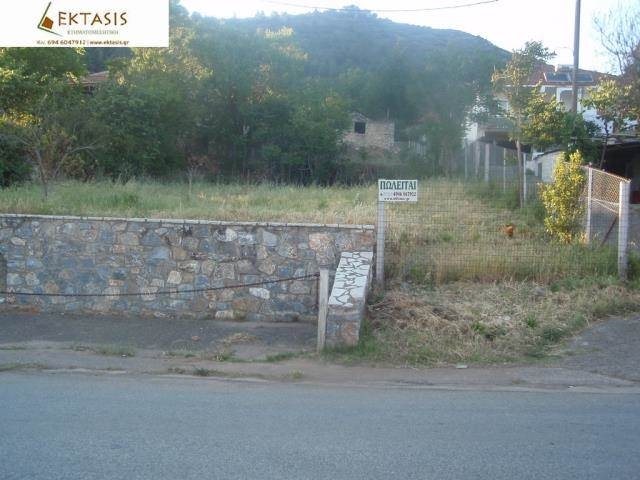 (Προς Πώληση) Αξιοποιήσιμη Γη Οικόπεδο || Ν. Αρκαδίας/Κορύθιο - 650 τ.μ, 17.000€ 
